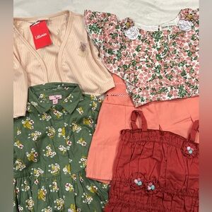4t Girl Clothes Bundle